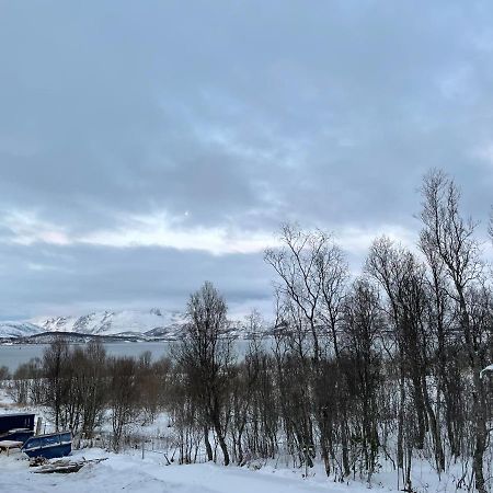 New Modern Apartment - Tromso West المظهر الخارجي الصورة