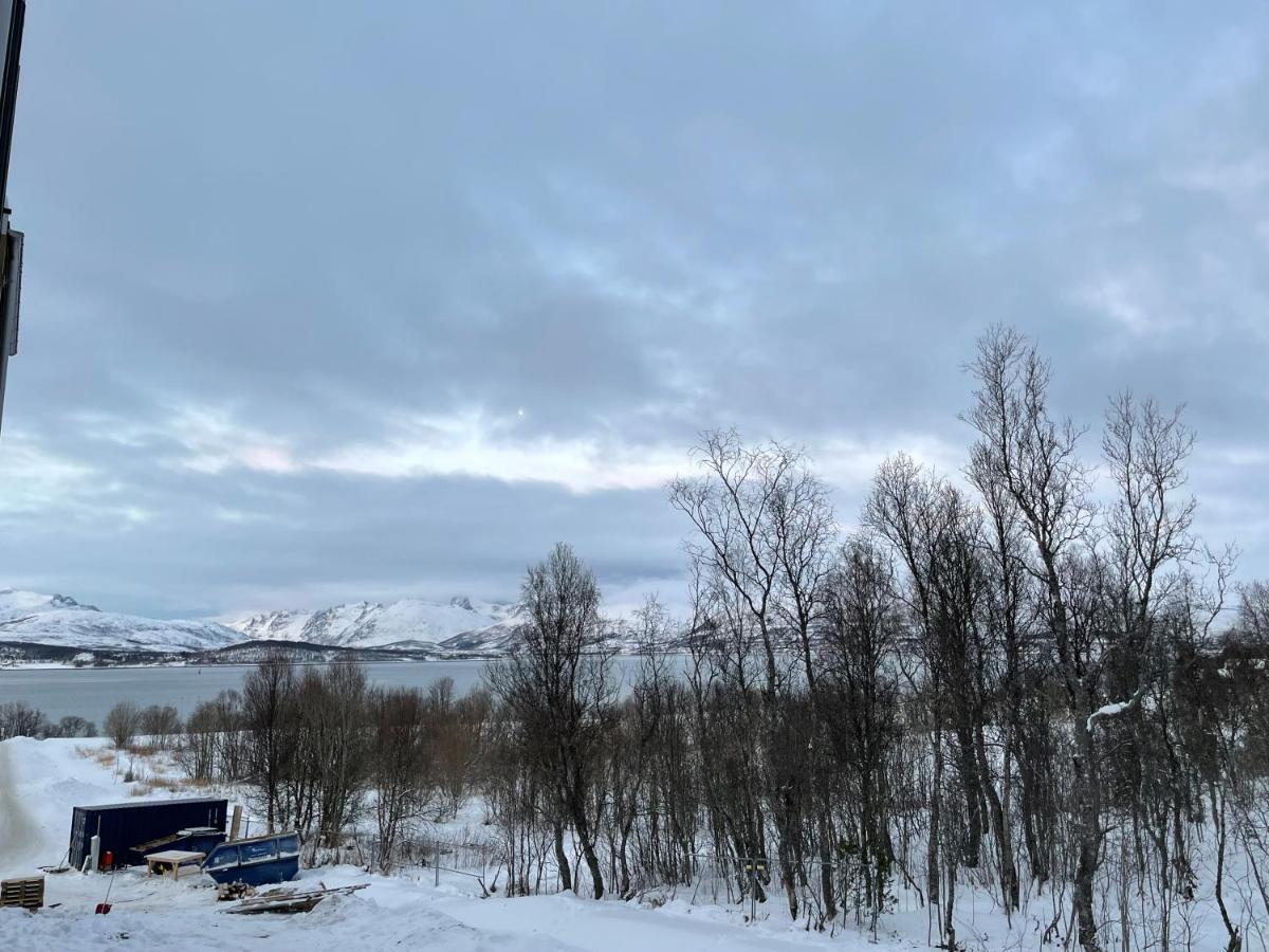 New Modern Apartment - Tromso West المظهر الخارجي الصورة